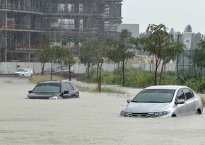 UAE witnesses record-breaking rains, highest in 75 years