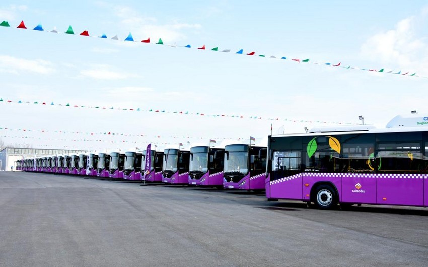 В Баку доставлены 50 новых автобусов большой вместимости