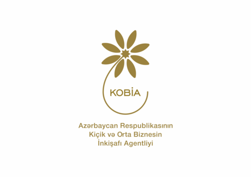 В прошлом году на инвестиционном портале KOBİA размещено 60 проектов