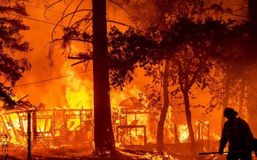 Число жертв при лесных пожарах в Турции возросло до восьми-