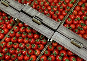 Россия разрешила ввоз томатов и яблок еще 12 компаниям Азербайджана