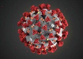 What do Chinese scientists say about coronavirus mutations?