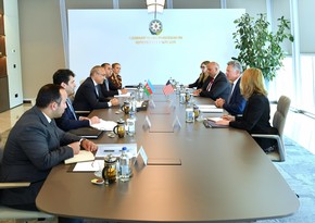 Azerbaijan explores partnership with US companies in dev’t of its green energy sector