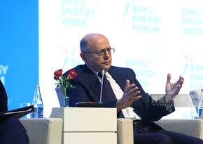 Minister: Azerbaijan expected to save 1.2 bcm of gas thanks to renewable energy