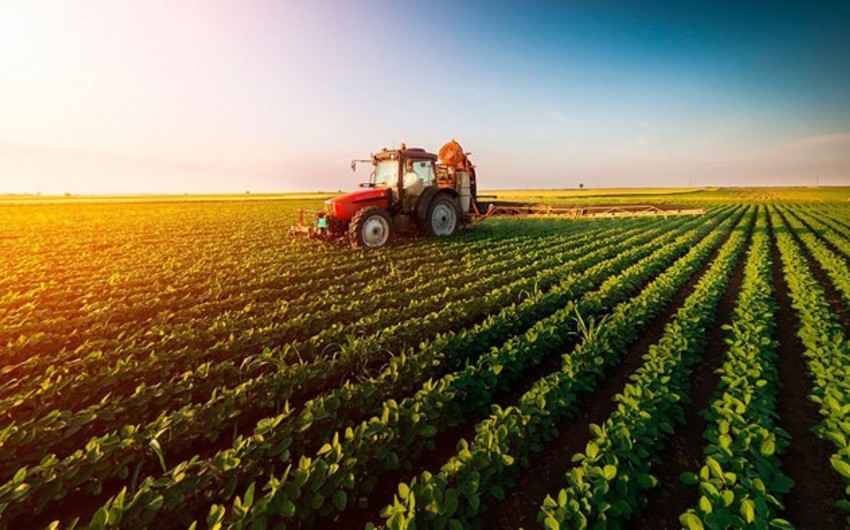 Azerbaijan's agrarian sector grows by 3%