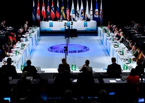 Arctic Council working group to convene on April 3