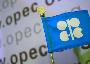 OPEC: Təmiz enerjiyə keçid iqtisadi artıma töhfə verməlidir