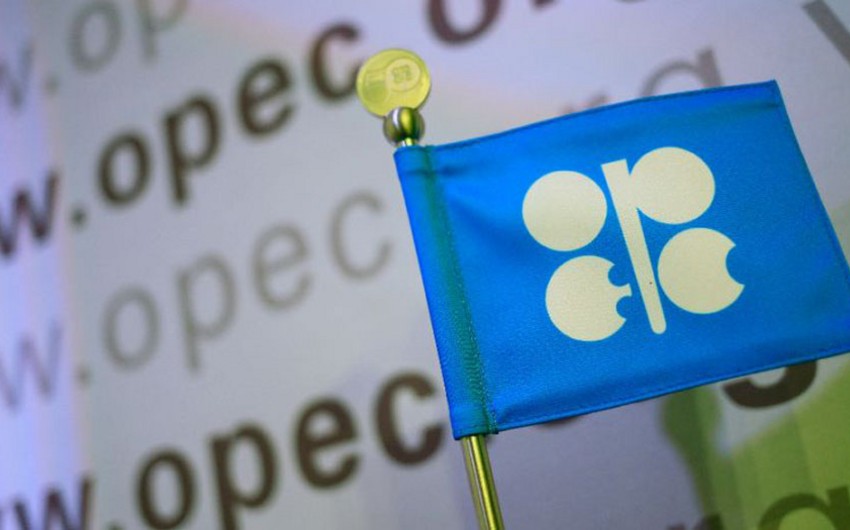 OPEC: Transition to clean energy should boost economic growth