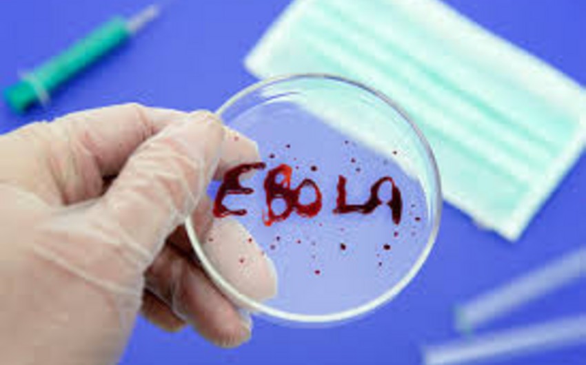 В Гвинее похищены образцы крови зараженных Эболой пациентов