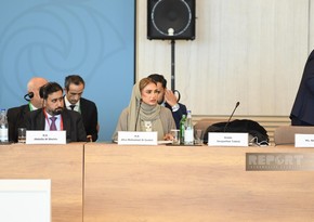 UAE сalls for decisive action on climate change at COP29