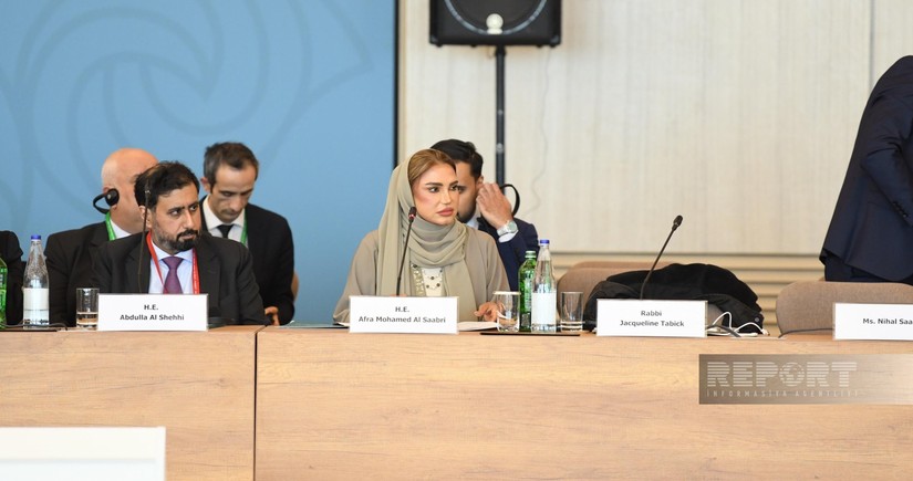 UAE сalls for decisive action on climate change at COP29