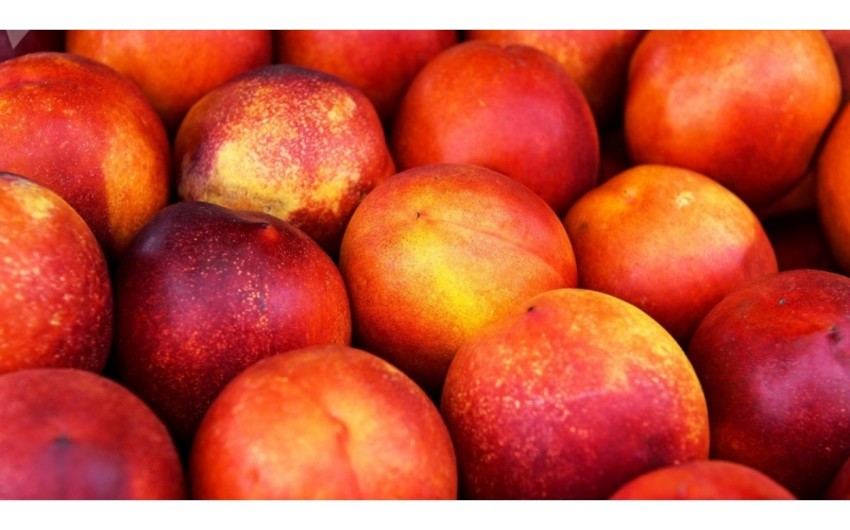 Nearly 3,000 tons of nectarines exported from Azerbaijan to Russia destroyed