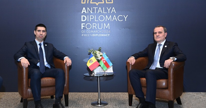 Azerbaijani, Moldovan FMs discuss bilateral partnership
