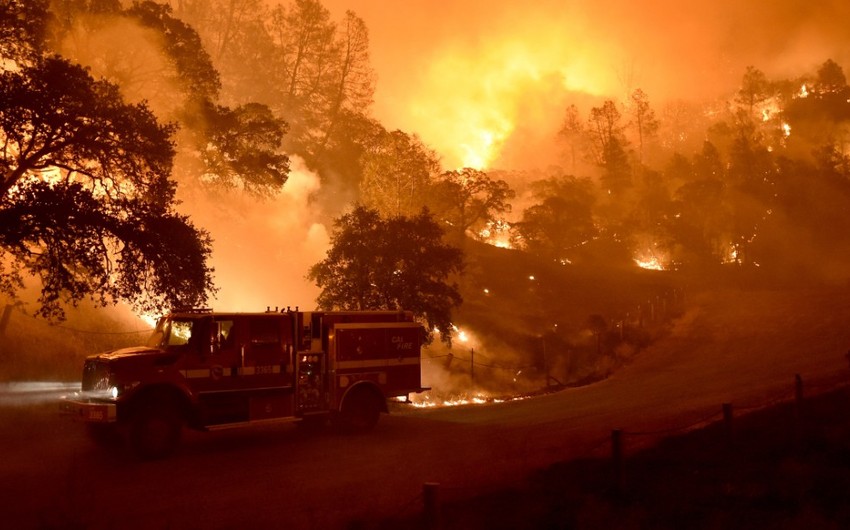 Ущерб от пожара в Калифорнии составит от 9 до 13 млрд долларов США