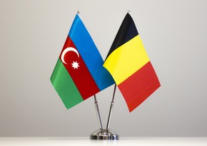 Министр энергетики Азербайджана принял посла Бельгии