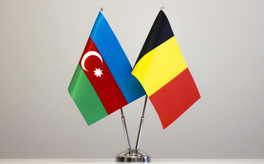 Azerbaijani energy minister, Belgian envoy focus on energy-related issues