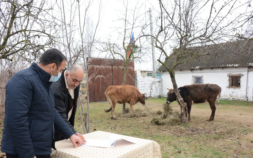 Daha iki rayonun şəhid ailələri və müharibə iştirakçıları üçün təsərrüfatlar yaradıldı