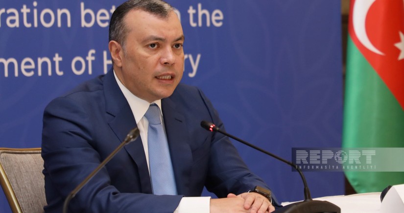 Babayev: Hungarian companies to produce medicines in Azerbaijan
