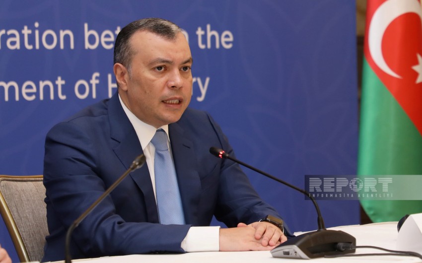 Бабаев: Венгерские компании запустят производство лекарств в Азербайджане в 2025 году