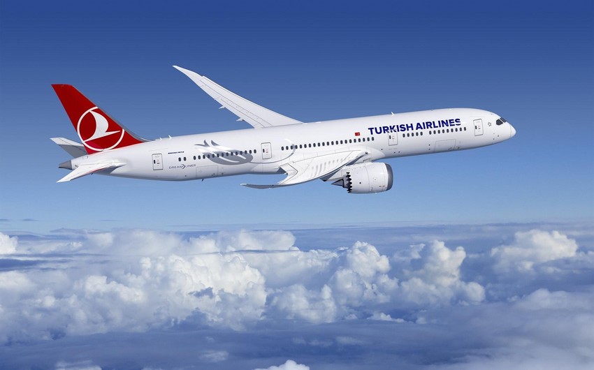 Turkish Airlines отменила ряд рейсов в Стамбул