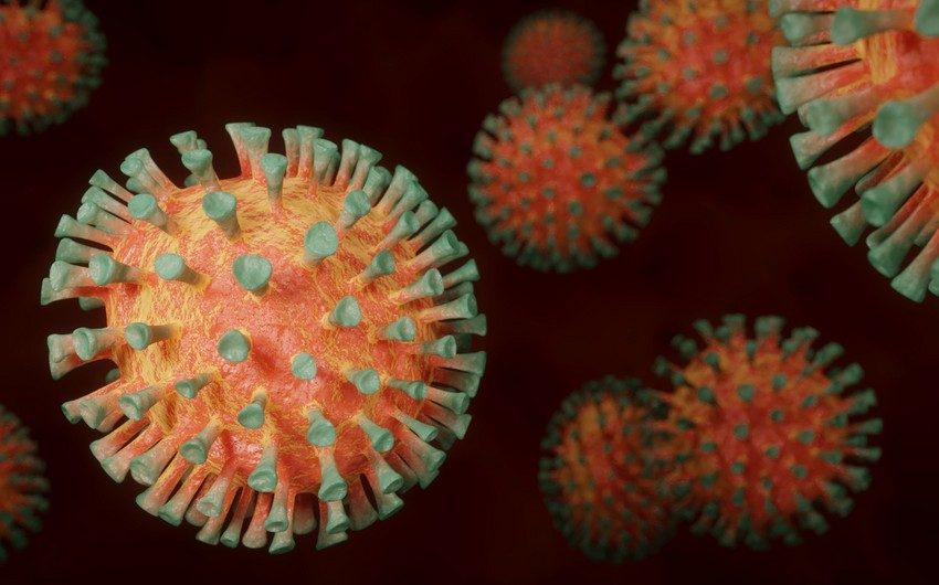 Koronavirusun ən yoluxucu ştammı açıqlandı