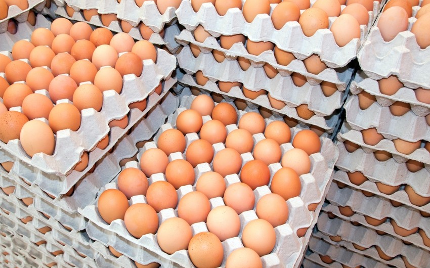 Сборная Норвегии на Олимпиаде по ошибке получила 15 тыс. яиц