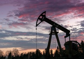 Azerbaijani oil price in global market remains unchanged