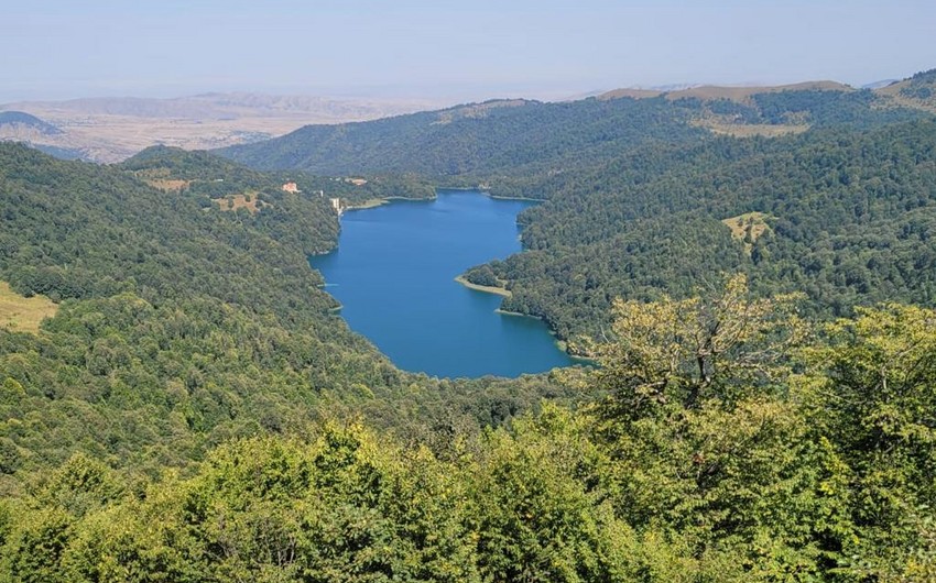 В 2023 году национальные парки Азербайджана посетили более 260 тыс. туристов