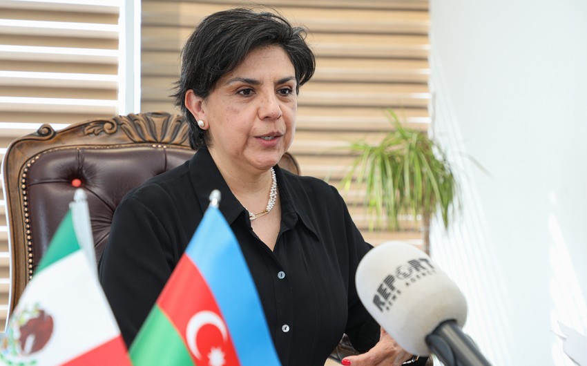 Envoy: Azerbaijan-Mexico trade, investment level growing