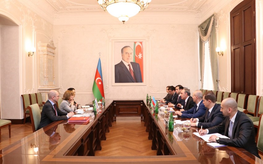 Кямран Алиев встретился с представителем ОБСЕ по вопросам свободы СМИ