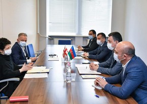 Министр культуры Азербайджана посетит Грузию