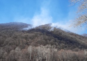 Fire in Shahdag National Park extinguished - UPDATED