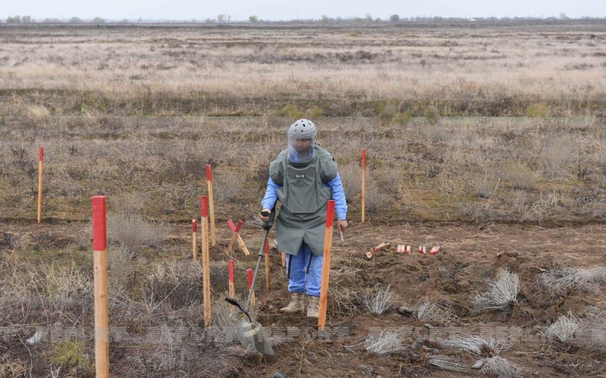 ANAMA: На освобожденных территориях обнаружено 37 мин