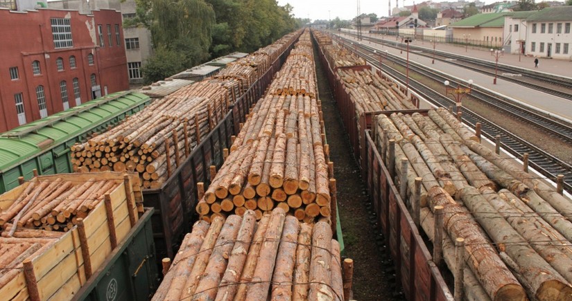 Азербайджан увеличил импорт лесоматериалов более чем на 32%