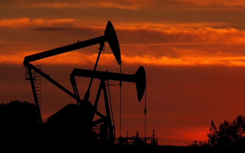 Цена нефти Brent выросла до 48,89 долларов/баррель