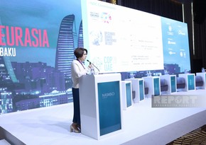 Госагентство: В Азербайджане до сих пор реализовано около 100 проектов в сфере ВИЭ