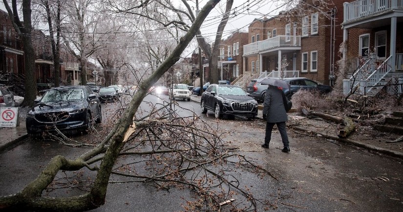 Gale-force winds leave thousands without power in eastern Canada