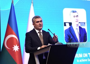 Official of Ombudsman's office: Operation of Metsamor NPP - serious threat to region