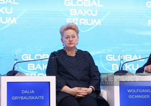 Экс-президент Литвы: Лидерство западных стран приводит к прокси-войнам