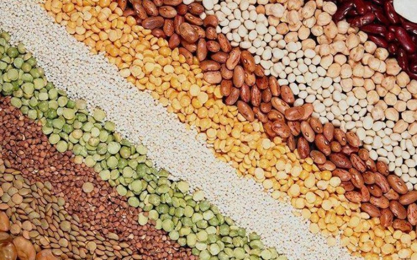 Azerbaijan increased spending on grain imports by 49%