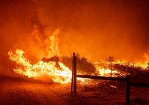 Wildfire in Los Angeles County exceeds 1,300 hectares