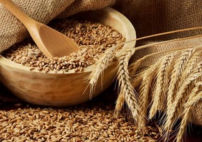 Azerbaijan resumes barley imports from Czech Republic 