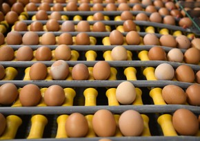 EU restores import duties on Ukrainian sugar, eggs