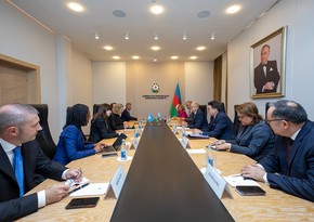Азербайджан и UNEP обсудили вопросы сотрудничества в рамках COP29