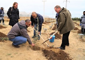 US Embassy holds tree-planting event to thank local staff