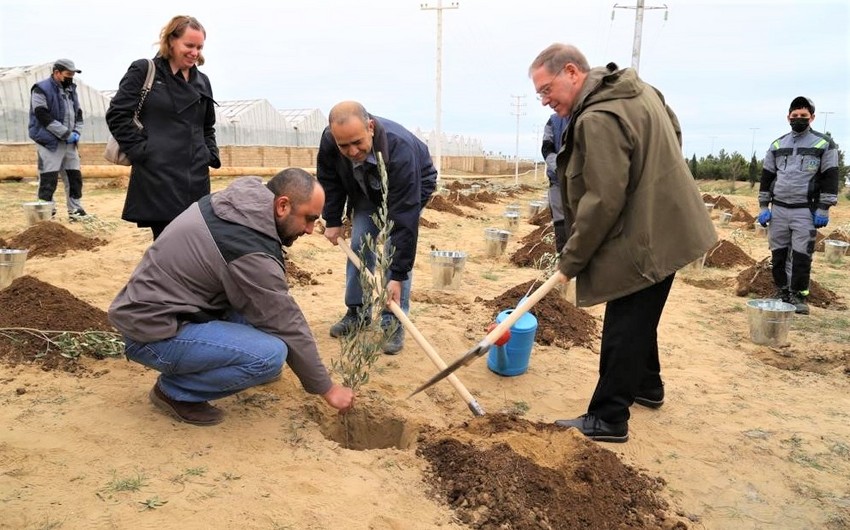 Посольство США организовало посадку деревьев в честь местных сотрудников