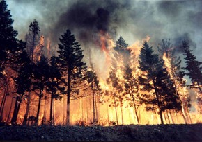 Kanadada meşə yanğınları nəticəsində 26 000 nəfər təxliyə edilib