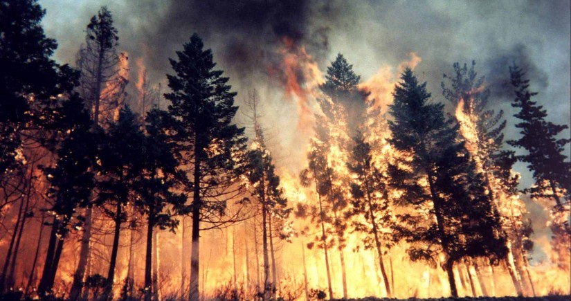 Kanadada meşə yanğınları nəticəsində 26 000 nəfər təxliyə edilib