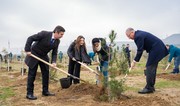 МЭПР и команда COP29 провели акцию по посадке деревьев