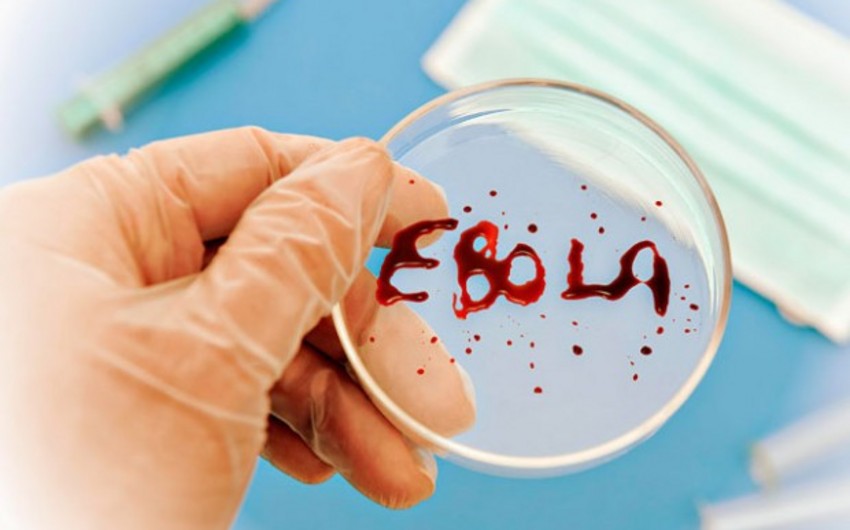 ​ÜST: Ebola virusunun yayılması böyük təhlükədir